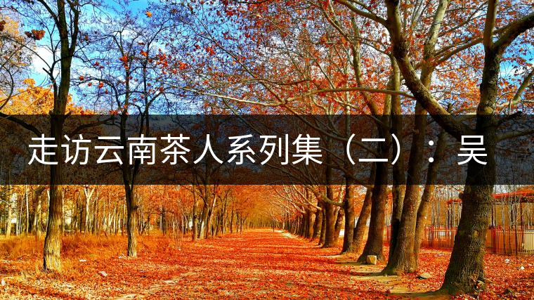 走訪(fǎng)云南茶人系列集(二):吳覺(jué)農(nóng)的云南弟子——彭承鑑 走訪(fǎng)云南茶人系列集(二):吳覺(jué)農(nóng)的云南弟子——彭承鑑