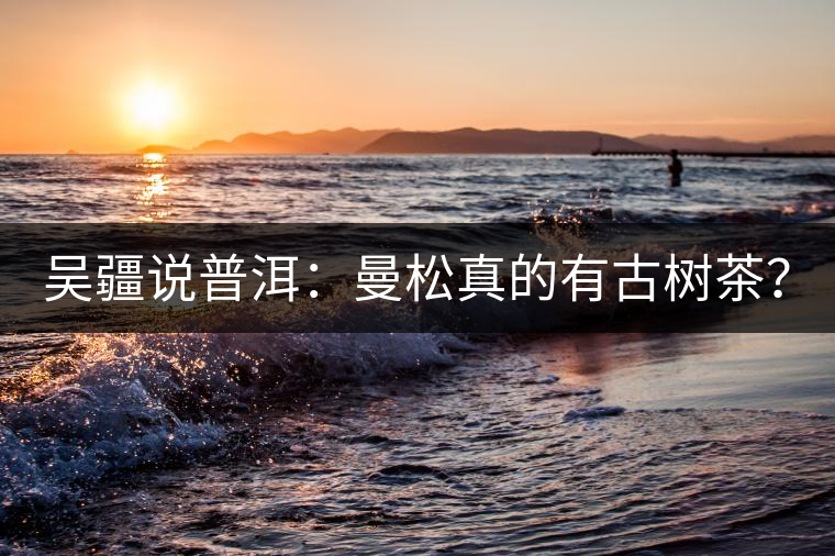 吳疆說普洱：曼松真的有古樹茶？