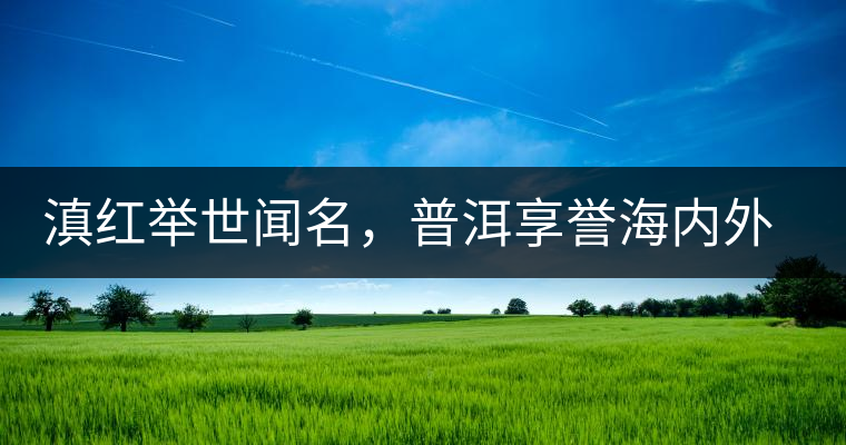 滇紅舉世聞名，普洱享譽(yù)海內(nèi)外丨專家座談——虞富蓮