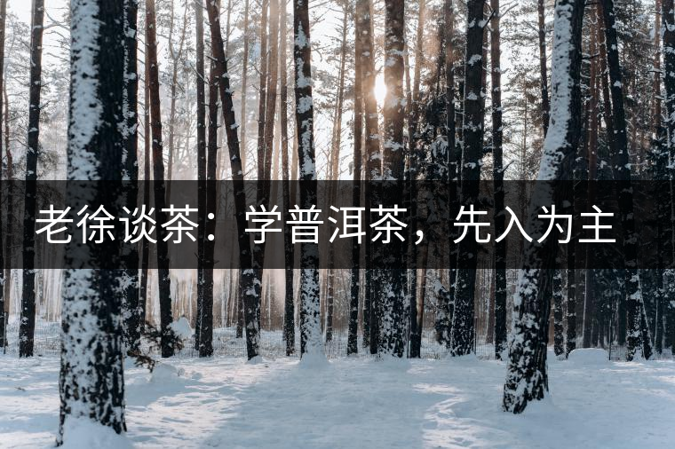 老徐談茶：學普洱茶，先入為主易被打臉，還得實踐出真知！