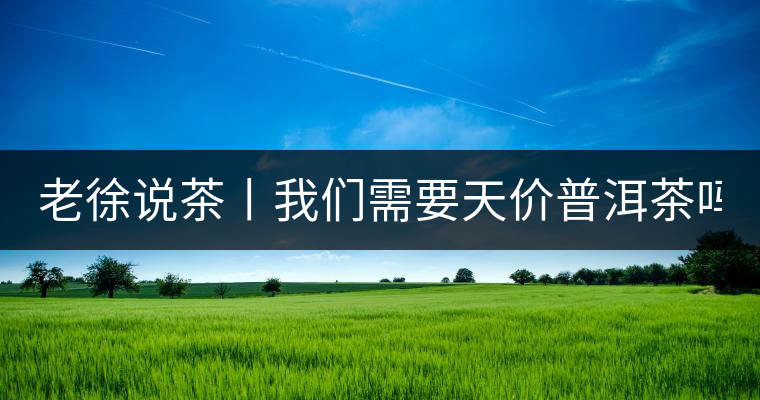 老徐說茶丨我們需要天價普洱茶嗎？