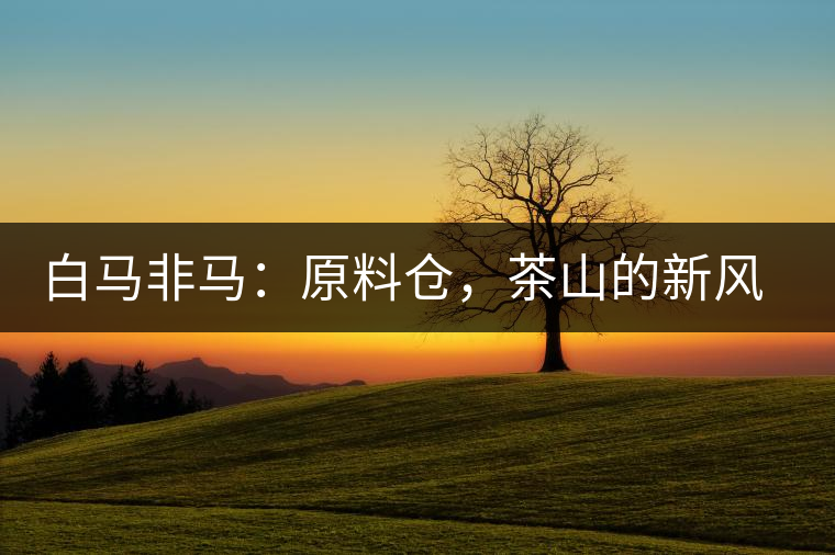 白馬非馬：原料倉(cāng)，茶山的新風(fēng)景