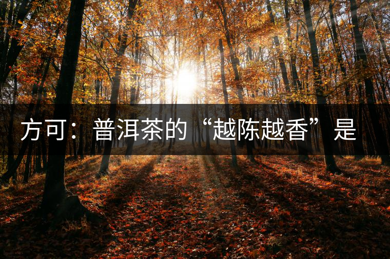 方可：普洱茶的“越陳越香”是有條件、有技術的