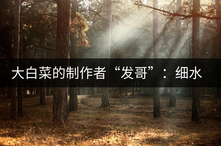 大白菜的制作者“發(fā)哥”：細(xì)水長流，做茶“急不得”