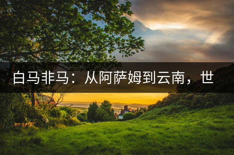 白馬非馬：從阿薩姆到云南，世界茶樹起源爭(zhēng)論的誤區(qū)