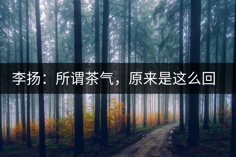 李揚：所謂茶氣，原來是這么回事