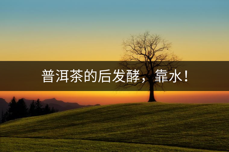 普洱茶的后發(fā)酵，靠水！