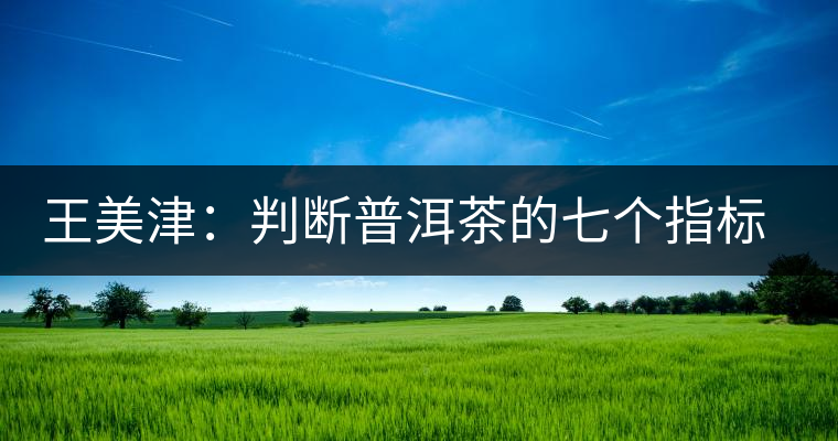 王美津：判斷普洱茶的七個(gè)指標(biāo) 之形