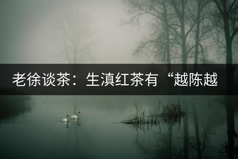 老徐談茶：生滇紅茶有“越陳越香”的特點嗎？