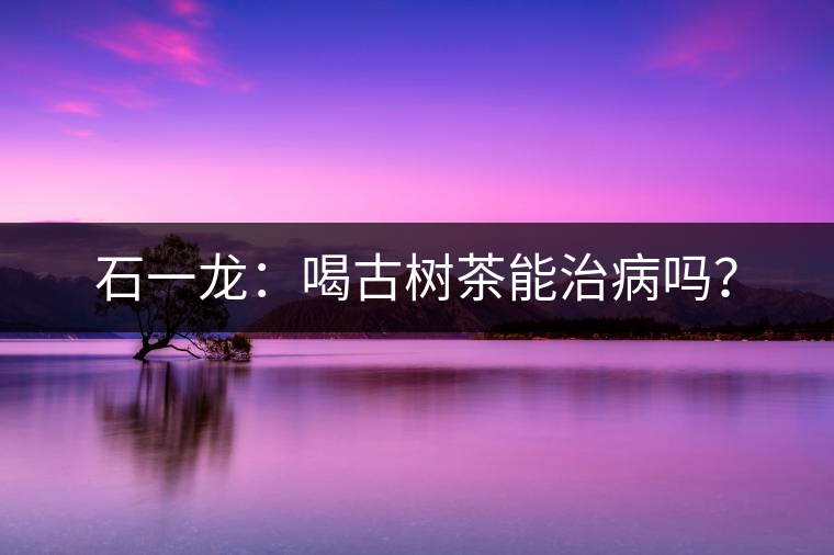 石一龍：喝古樹茶能治病嗎？