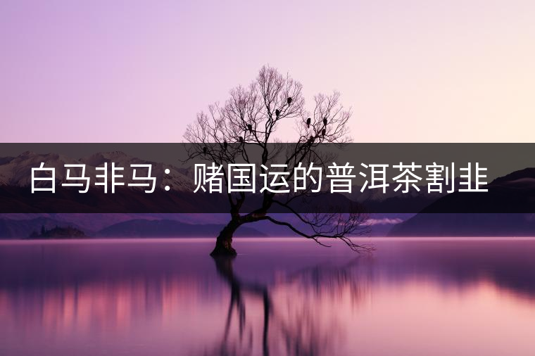 白馬非馬：賭國運(yùn)的普洱茶割韭菜運(yùn)動