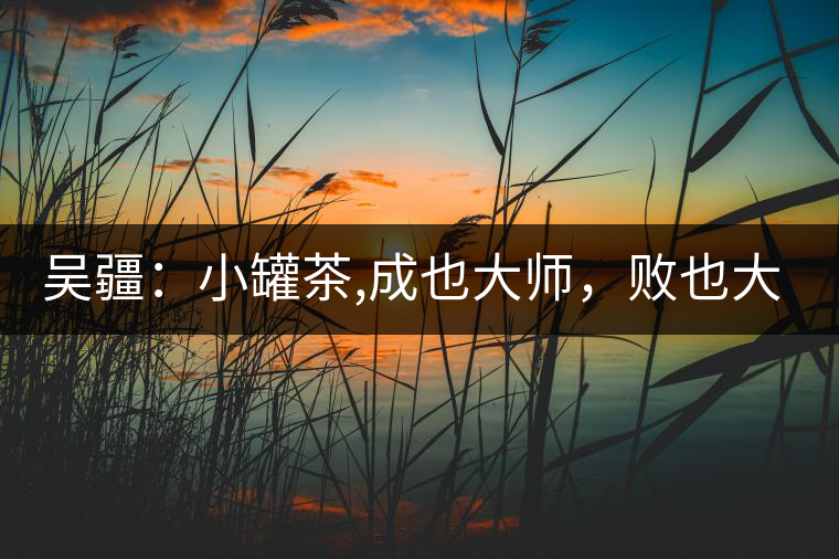 吳疆：小罐茶,成也大師，敗也大師
