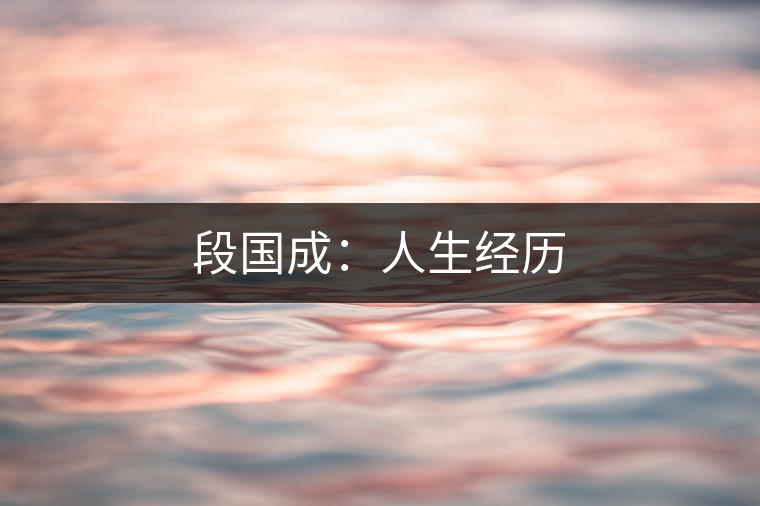 段國成：人生經歷