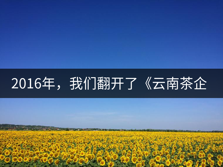 2016年，我們翻開了《云南茶企發(fā)展白皮書》