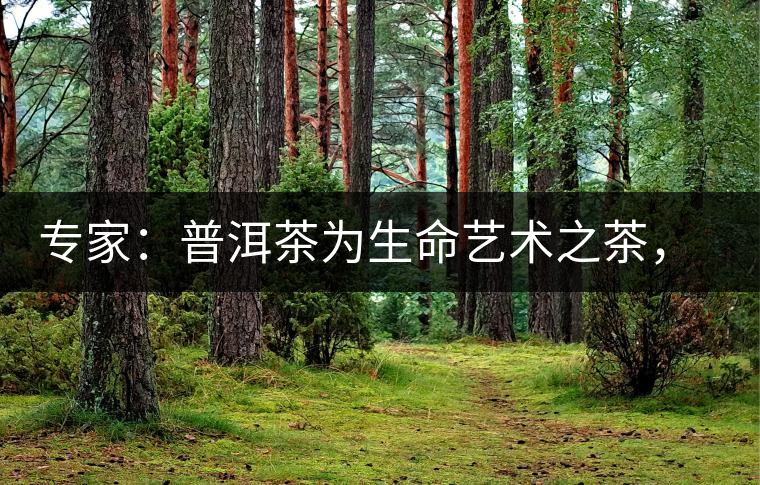 專家：普洱茶為生命藝術(shù)之茶，現(xiàn)低價(jià)時(shí)期可投資收茶