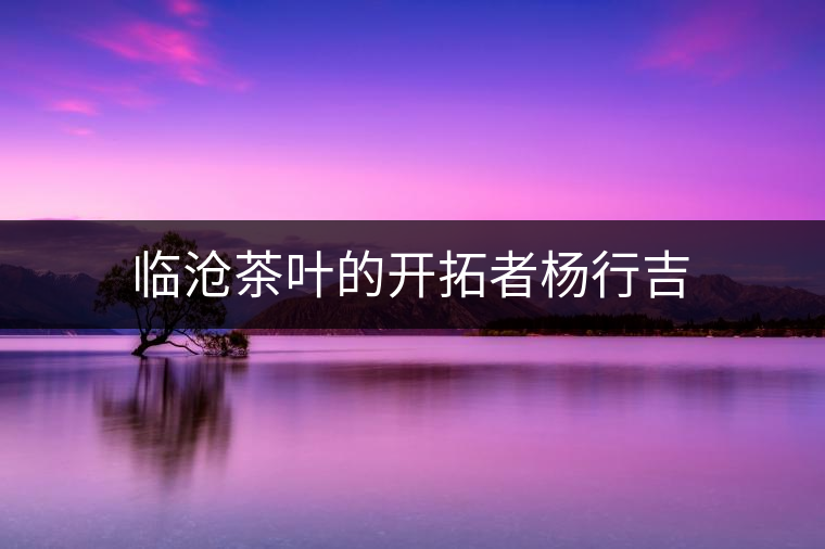 臨滄茶葉的開拓者楊行吉