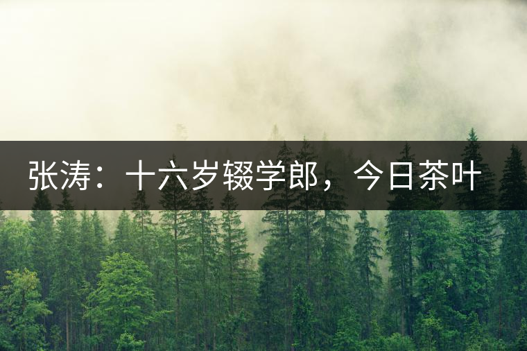張濤：十六歲輟學(xué)郎，今日茶葉中堅(jiān)