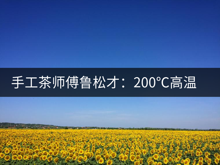 手工茶師傅魯松才:200℃高溫下練就“鐵砂掌” 手工茶師傅魯松才:200℃高溫下練就“鐵砂掌”