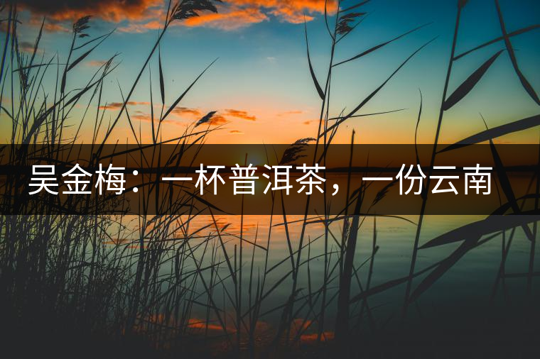 吳金梅：一杯普洱茶，一份云南情