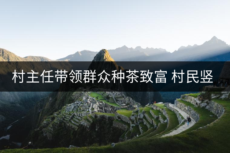 村主任帶領(lǐng)群眾種茶致富 村民豎起大拇指