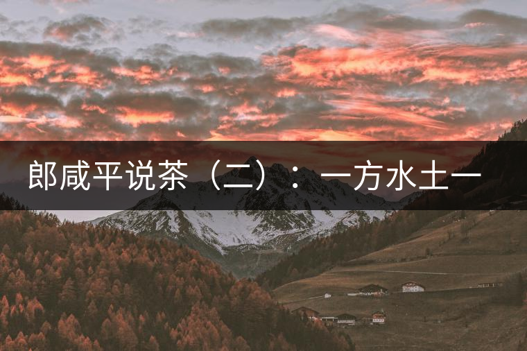 郎咸平說茶（二）：一方水土一方人