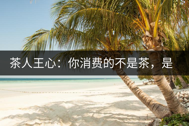茶人王心：你消費(fèi)的不是茶，是我
