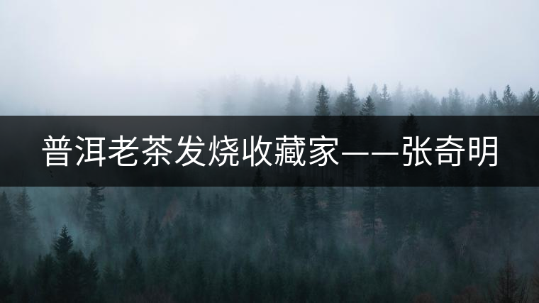 普洱老茶發(fā)燒收藏家——張奇明