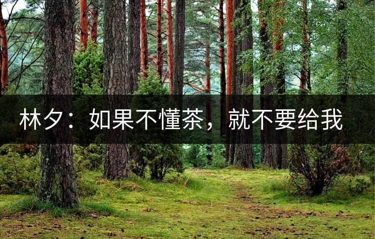 林夕：如果不懂茶，就不要給我送茶