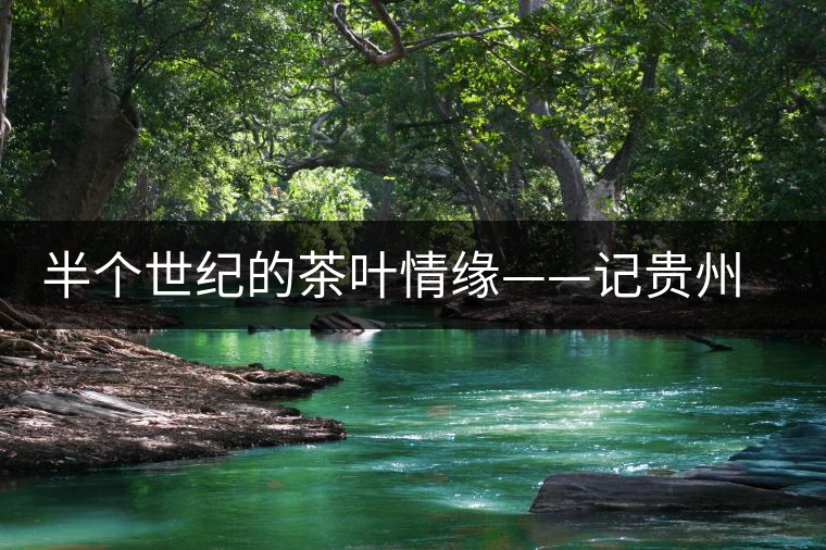 半個(gè)世紀(jì)的茶葉情緣——記貴州茶葉終身成就獎獲得者汪桓武