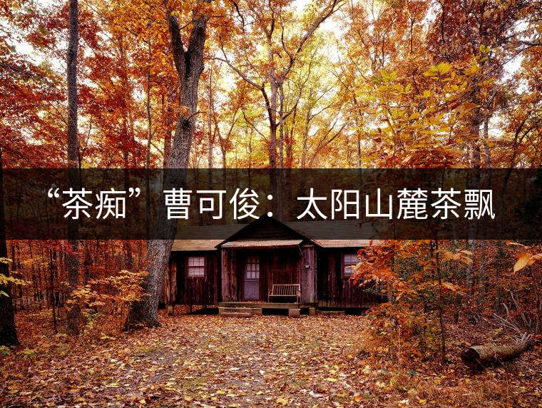 “茶癡”曹可?。禾?yáng)山麓茶飄香，清明時(shí)節(jié)采茶忙