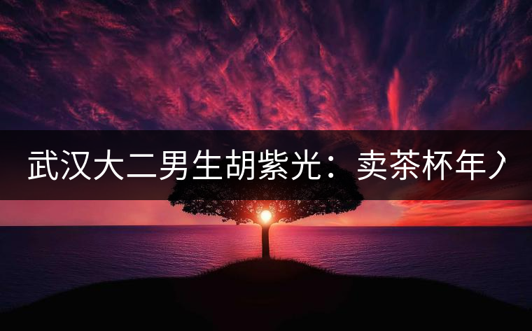 武漢大二男生胡紫光：賣(mài)茶杯年入30萬(wàn)元