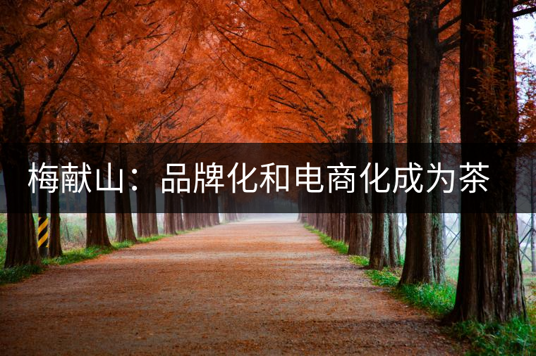 梅獻山:品牌化和電商化成為茶產(chǎn)業(yè)的第三個轉(zhuǎn)機 梅獻山:品牌化和電商化成為茶產(chǎn)業(yè)的第三個轉(zhuǎn)機