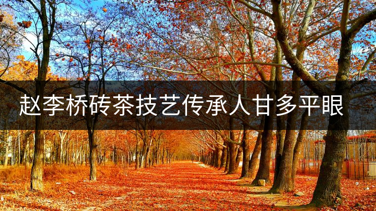 趙李橋磚茶技藝傳承人甘多平眼中的磚茶前輩