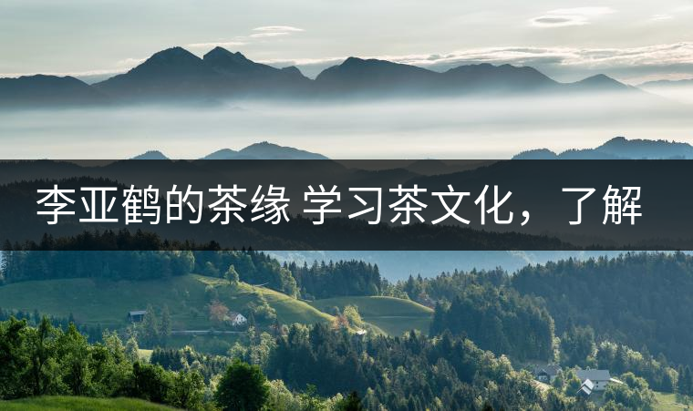 李亞鶴的茶緣 學(xué)習(xí)茶文化，了解茶文化，品味茶文化