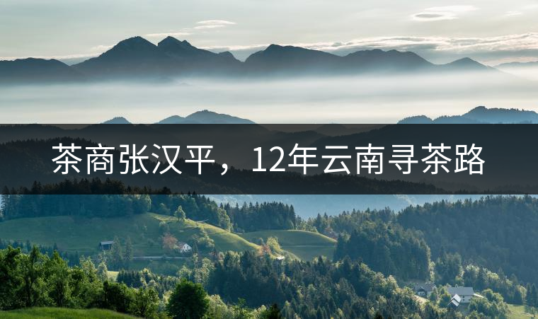 茶商張漢平，12年云南尋茶路