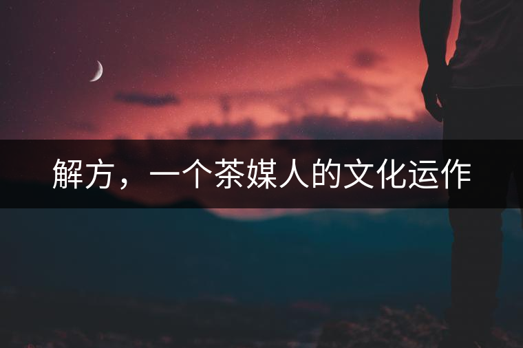 解方，一個茶媒人的文化運作