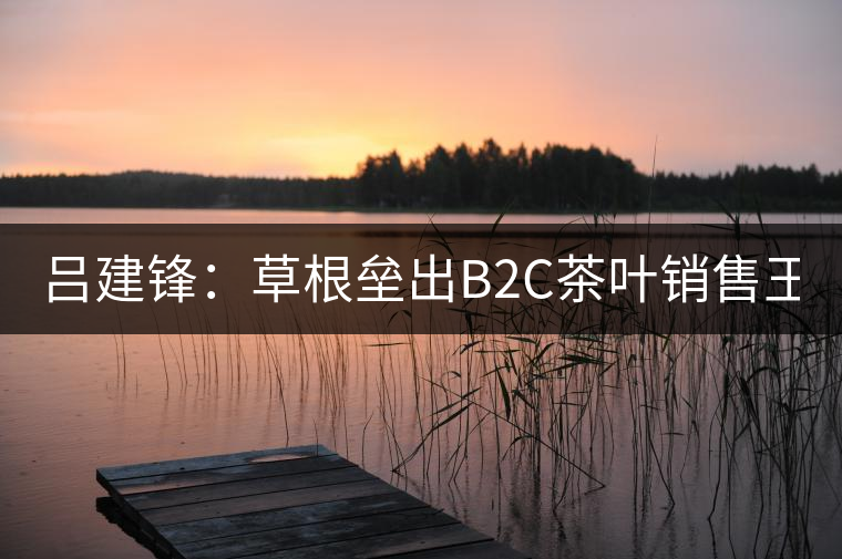 呂建鋒：草根壘出B2C茶葉銷(xiāo)售王國(guó)51普洱網(wǎng)
