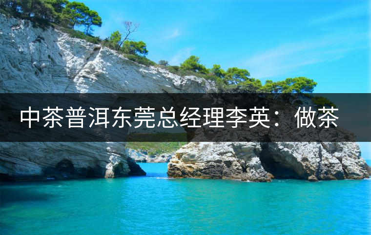中茶普洱東莞總經理李英:做茶應該“心思簡靜” 中茶普洱東莞總經理李英:做茶應該“心思簡靜”