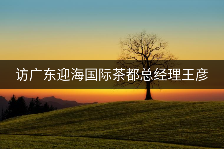 訪廣東迎海國際茶都總經(jīng)理王彥