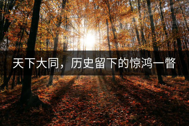 天下大同，歷史留下的驚鴻一瞥