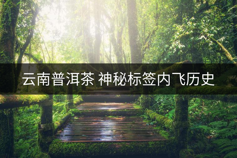 云南普洱茶 神秘標簽內(nèi)飛歷史
