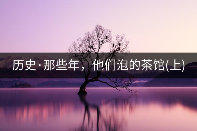 歷史·那些年，他們泡的茶館(上)