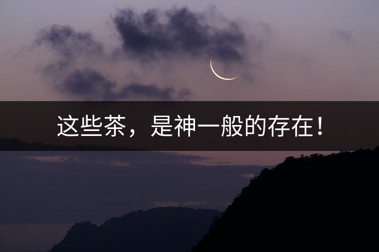 這些茶，是神一般的存在！