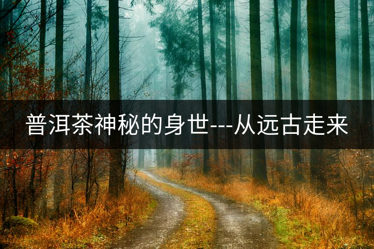 普洱茶神秘的身世---從遠古走來 普洱茶神秘的身世---從遠古走來