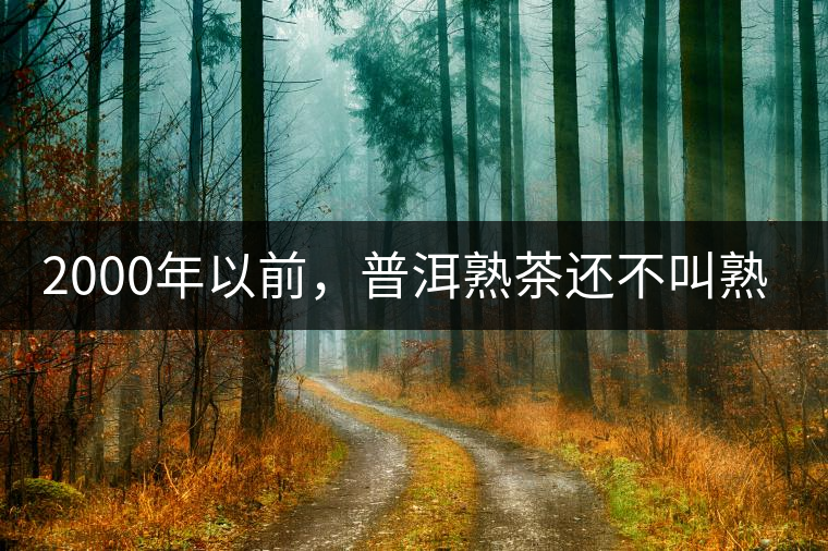 2000年以前，普洱熟茶還不叫熟茶