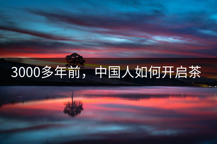 3000多年前，中國人如何開啟茶生活？