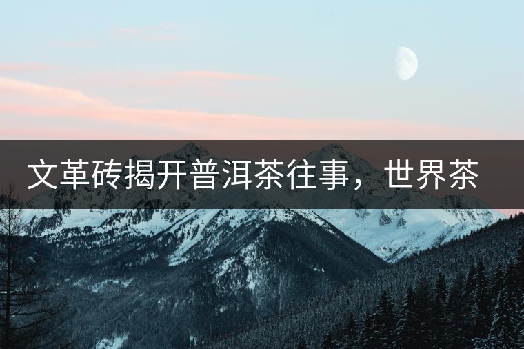 文革磚揭開普洱茶往事，世界茶文化交流協(xié)會成員共品經(jīng)典文革磚！