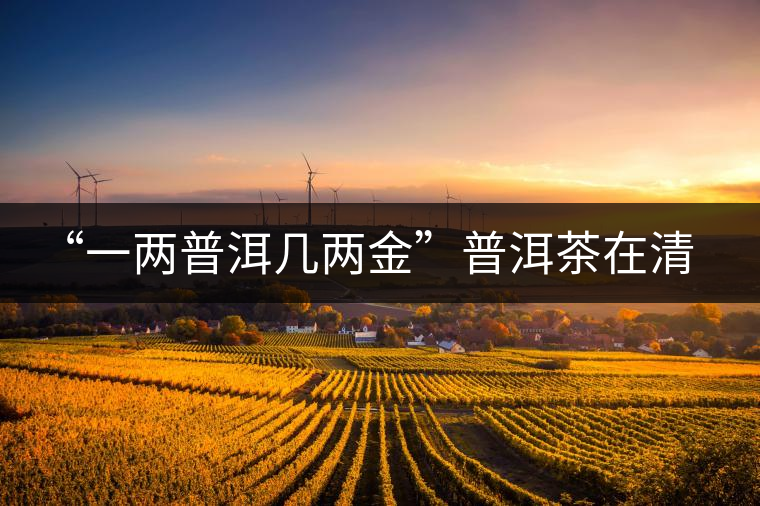 “一兩普洱幾兩金”普洱茶在清代為啥這么火？！