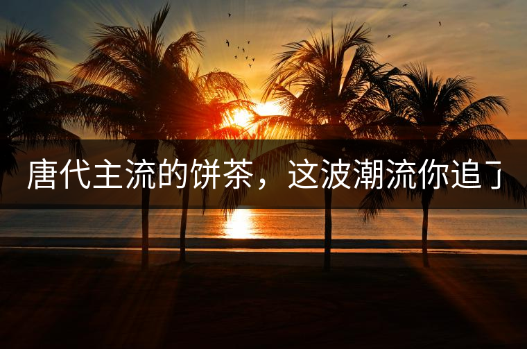 唐代主流的餅茶，這波潮流你追了嗎？