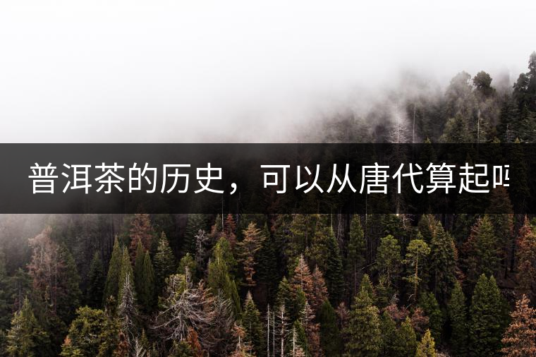 普洱茶的歷史，可以從唐代算起嗎？